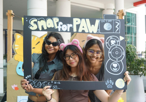 Snap for Paws: Making a Difference for Animals in Need