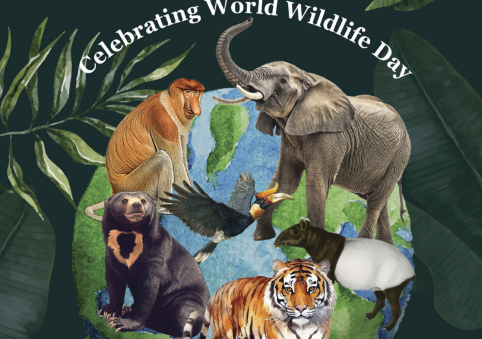 Issue 20 | Mar - Apr 2026