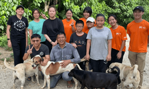 KC Valley Animal Spa Day