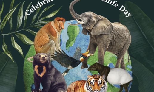 Issue 20 | Mar - Apr 2026